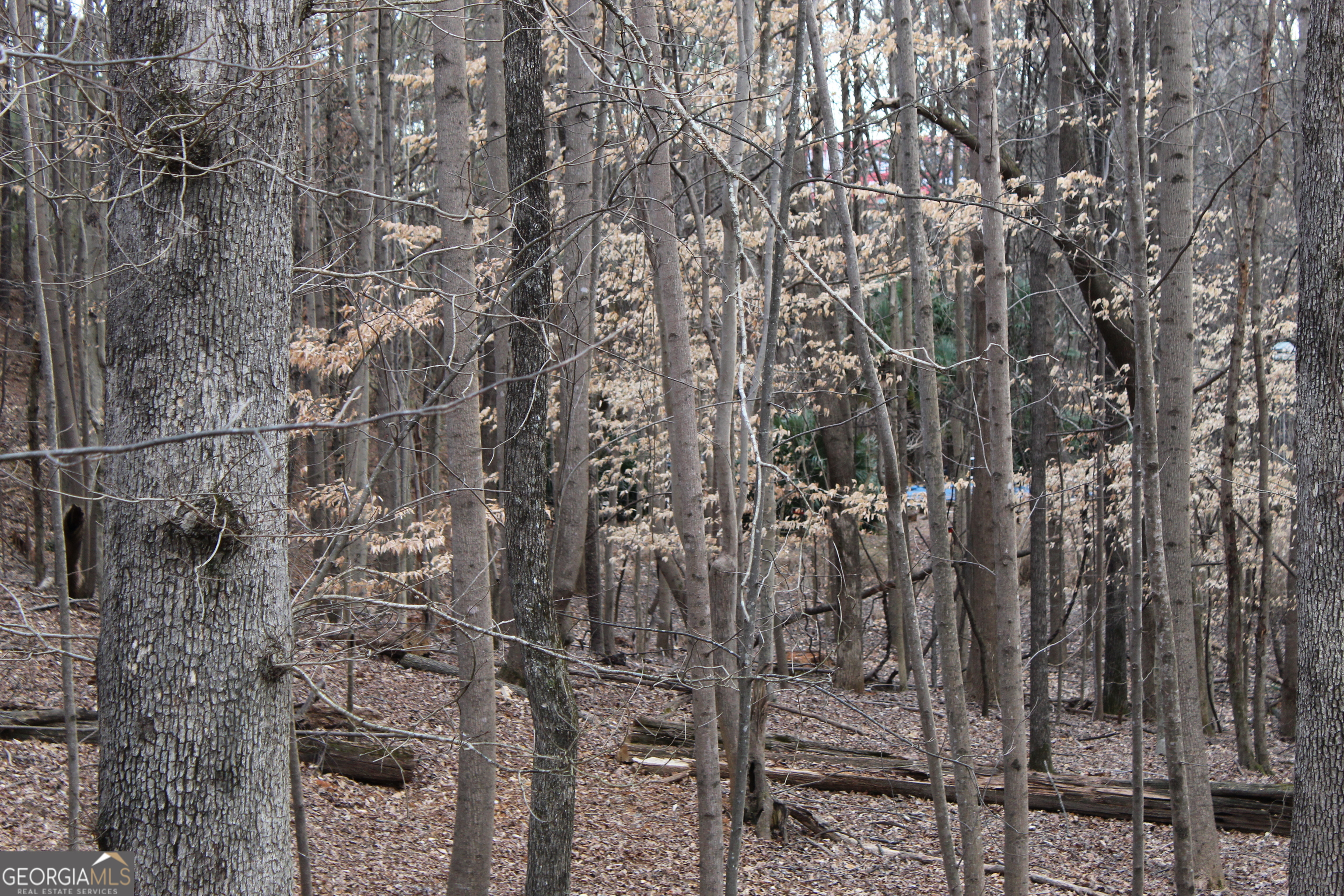 Berkeley Lake, Georgia 30096, United States, 8 Bedrooms Bedrooms, ,8 BathroomsBathrooms,Residential,Active,85696