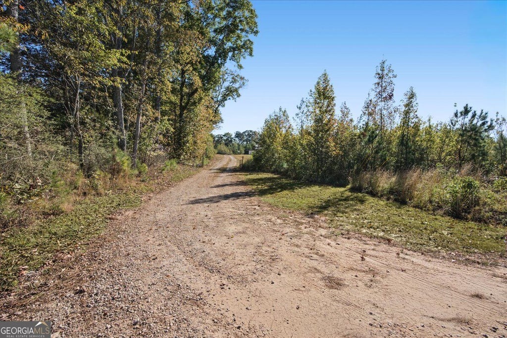 Photo of 533 Lively Road, Waco, GA 30182 (MLS # 10877998)