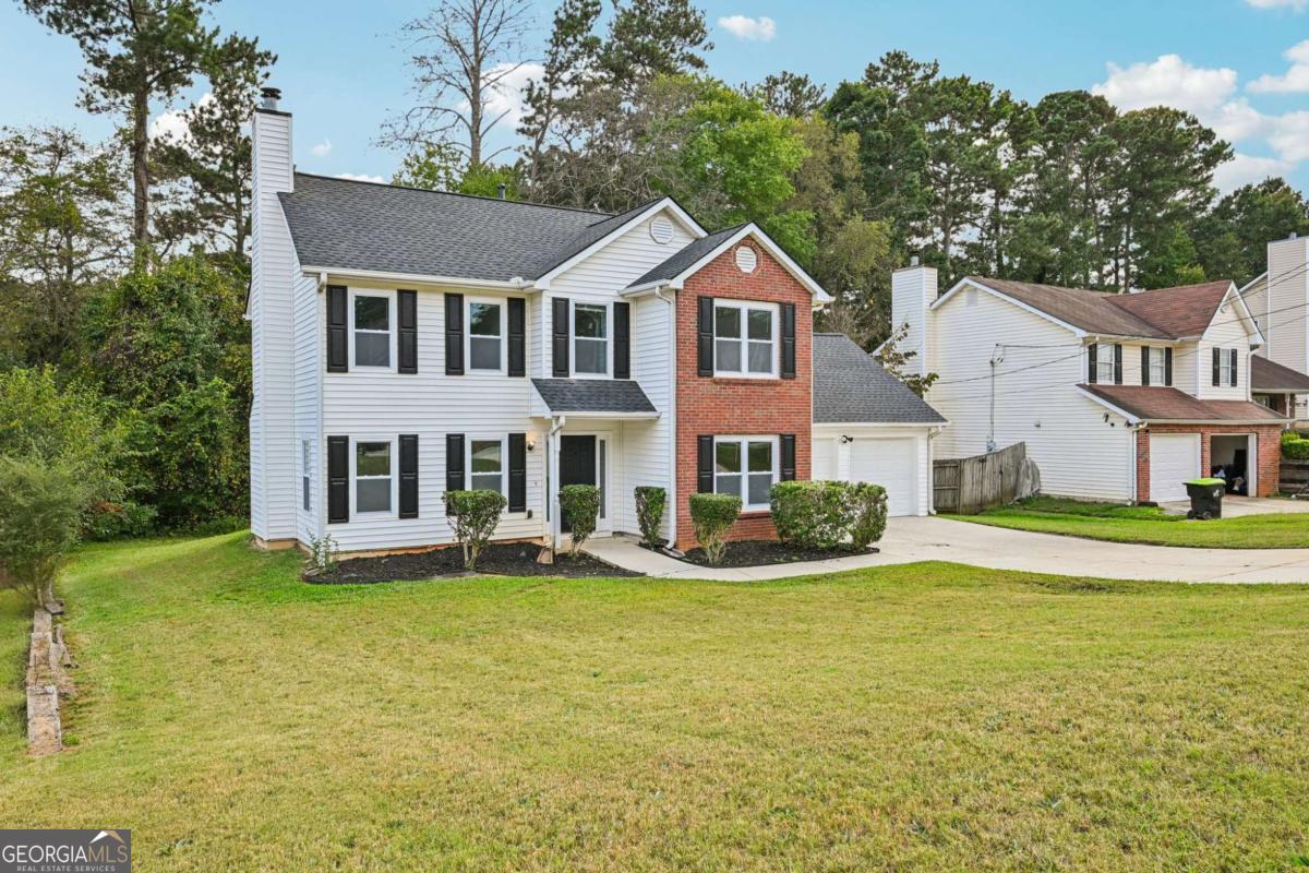 2811 Appaloosa RUN