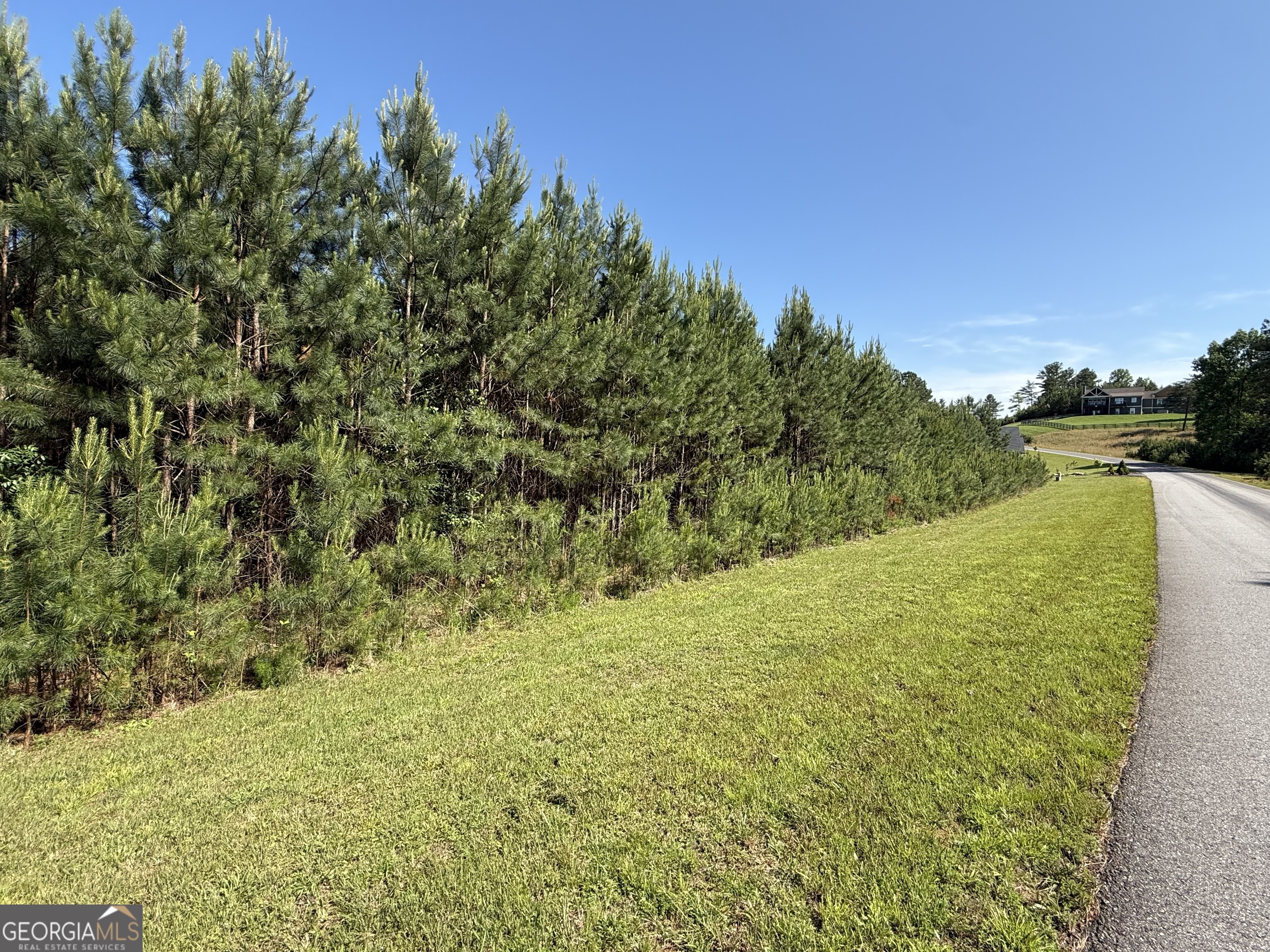 Build Your Dream Retreat in, The Cove at Thirteen Hundred! Come discover this remarkable lot, 3.38+/- acres of level and gently rolling terrain in one of North Georgia's highly sought-after gated communities. This picturesque lot features a serene babbling stream that adds a peaceful, natural touch to your future homesite. This lot is located just a short walk from the community marina & boat ramp along the shores of beautiful Lake Nottely. This property offers the perfect blend of natural beauty and convenience. Enjoy paved roads, available public water, available electric and access to an array of top-tier amenities including a clubhouse pavilion at the community pool with mountain views, equestrian stables, and more. Whether you're planning a full-time residence or a vacation getaway, this lot is your opportunity to embrace mountain living with luxury and comfort.