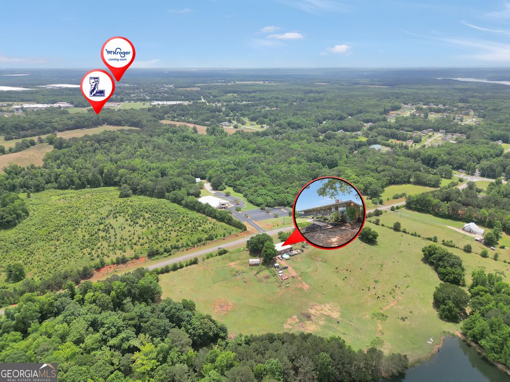 Photo of 876 Simpson Mill Road, Locust Grove, GA 30248 (MLS # 10772718)
