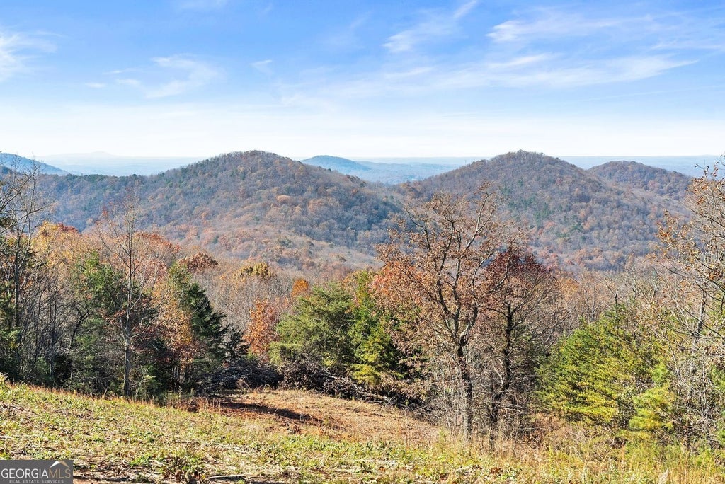 Photo of 0 Helton Road, Cleveland, GA 30528 (MLS # 10851520)