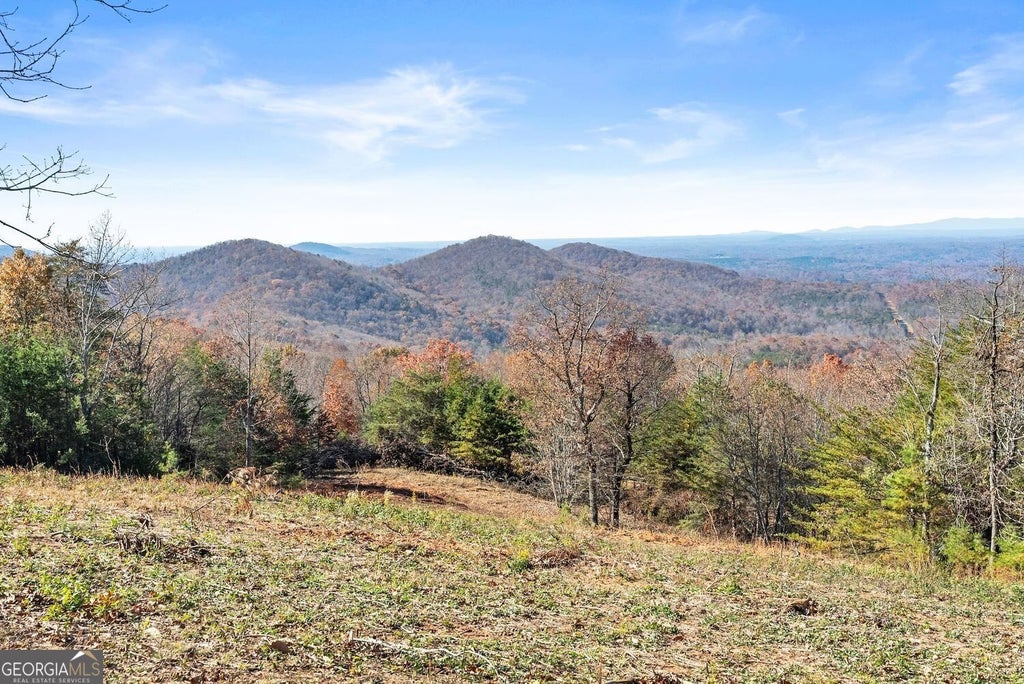 Photo of 0 Helton Road, Cleveland, GA 30528 (MLS # 10851520)