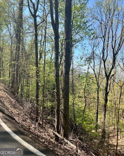 450 Wild Turkey Bluff