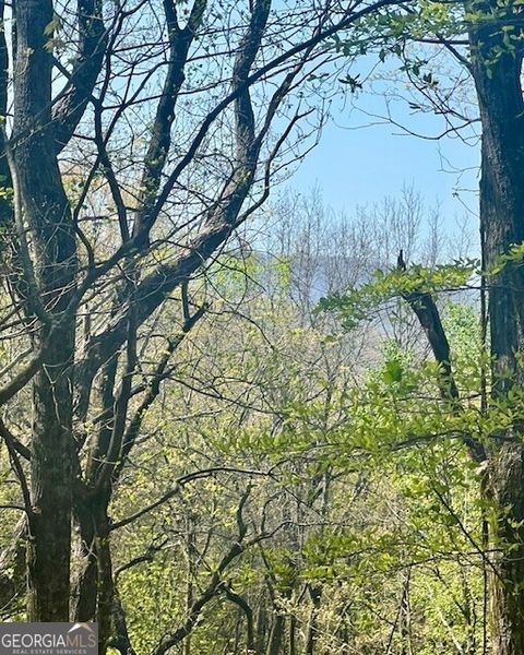 Photo of 450 Wild Turkey Bluff Blf, Dawsonville, GA 30534 (MLS # 10503060)