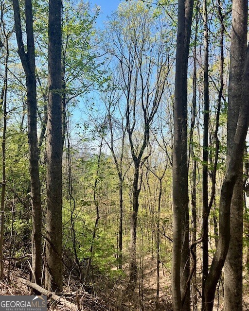 450 Wild Turkey Bluff