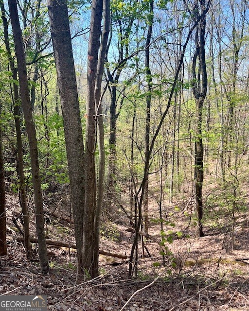 450 Wild Turkey Bluff