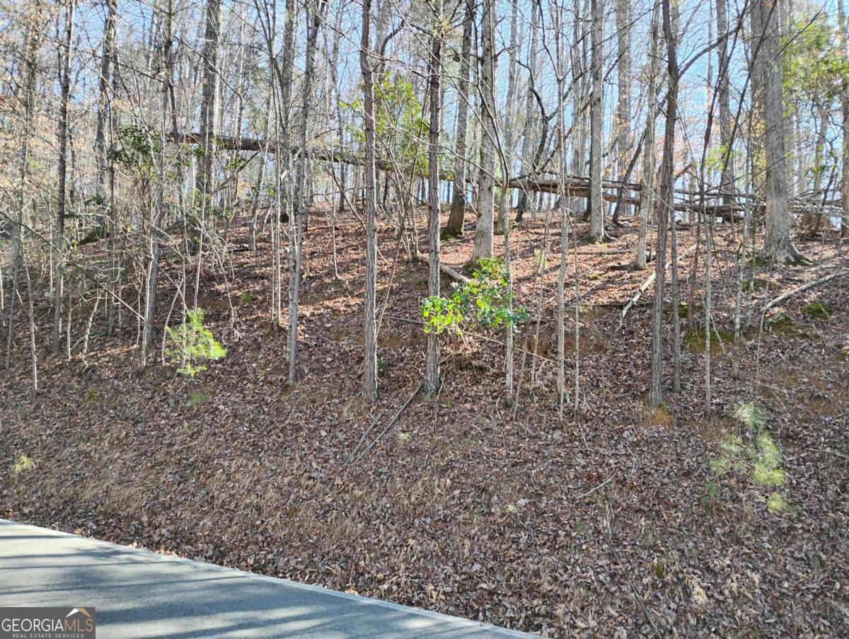 LT 2090R Newport DR 2090R