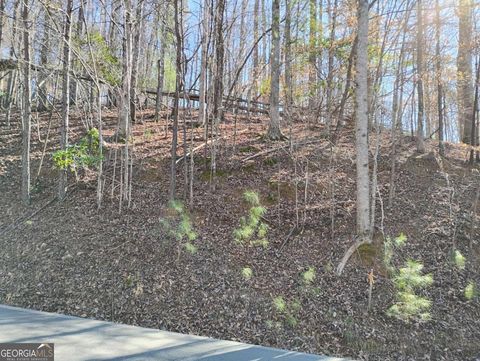 LT 2090R Newport DR 2090R Ellijay GA 30540