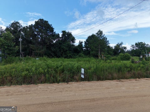 Photo of 0 Griffin Road, Baxley, GA 31513 (MLS # 10788838)