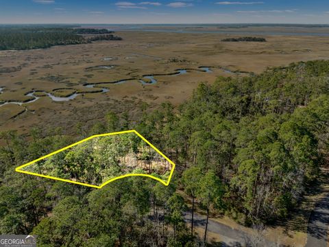 Photo of 138 Sapelo Circle, Townsend, GA 31331 (MLS # 10680412)