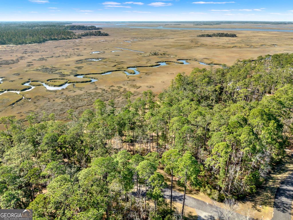 Photo of 138 Sapelo Circle, Townsend, GA 31331 (MLS # 10680412)