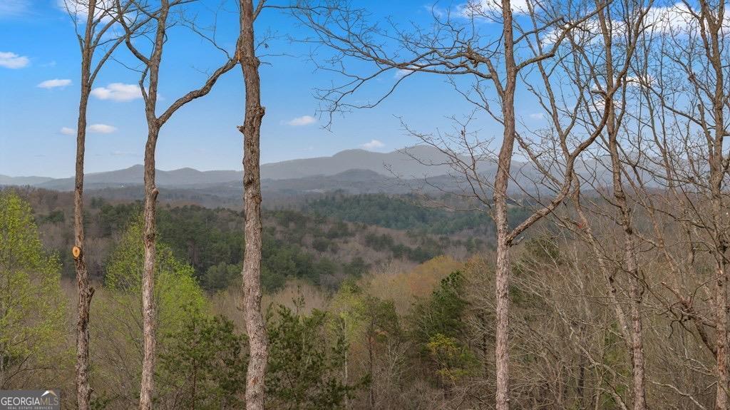 LOT 5 Cohutta Sunset DR