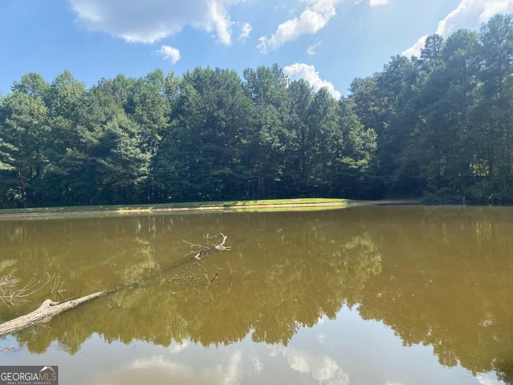 Photo of 1100 Billy Mcgee Road, Lawrenceville, GA 30045 (MLS # 10840332)
