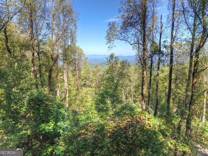 Photo 1 of 21 — LT 296 Andes RDG, Ellijay, GA 30536