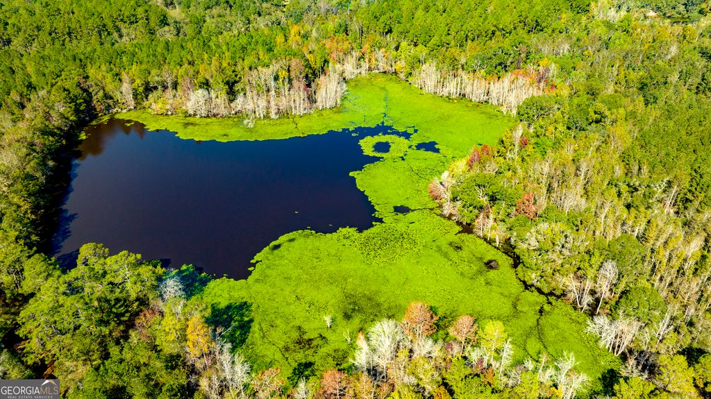 Photo of 2947 Ivey Ave, Claxton, GA 30417 (MLS # 10680661)