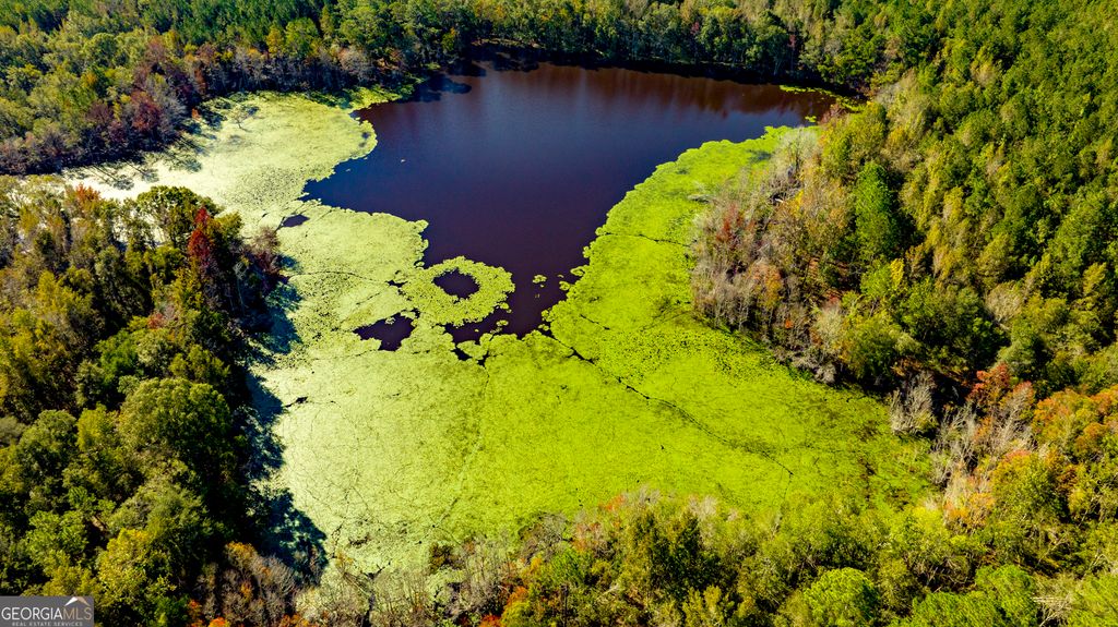 Photo of 2947 Ivey Ave, Claxton, GA 30417 (MLS # 10680661)