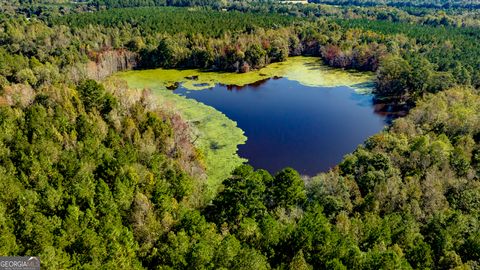 Photo of 2947 Ivey Ave, Claxton, GA 30417 (MLS # 10680661)