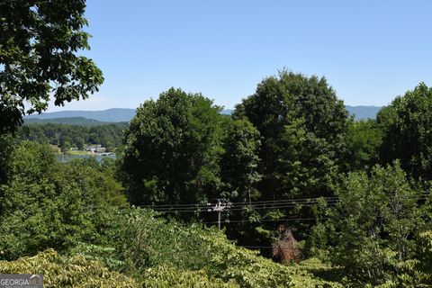 A home in Hiawassee