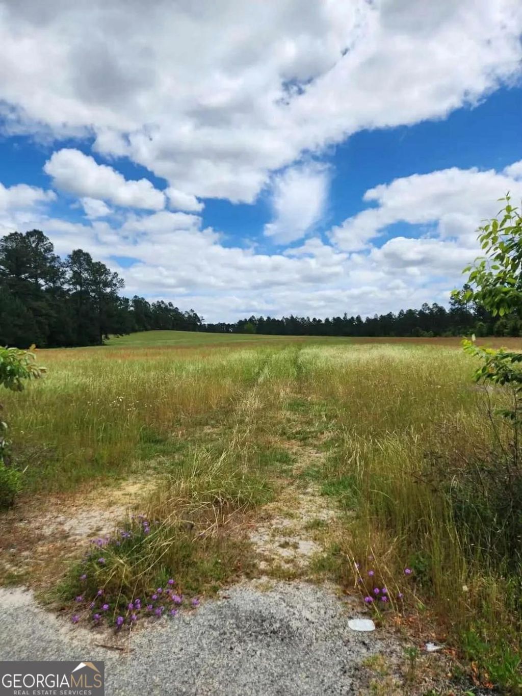 Photo of 0 Stingray Rd, Mixon Rd, Swainsboro, GA 30401 (MLS # 10757305)