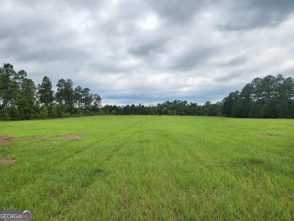 Photo of 0 Stingray Rd, Mixon Rd, Swainsboro, GA 30401 (MLS # 10757305)