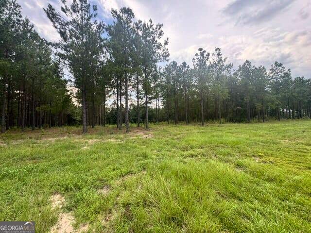 Photo of 0 Dewey Thomas Rd, Dexter, GA 31019 (MLS # 10827009)
