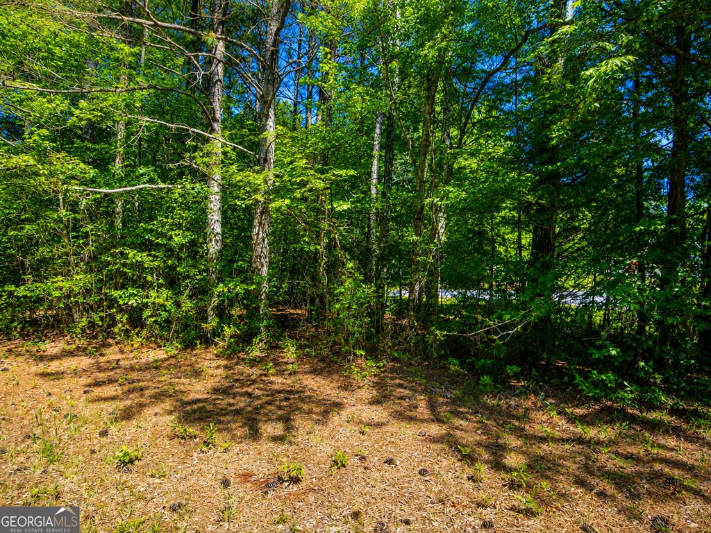 Photo of 5 Stanfield Drive, Lafayette, GA 30728 (MLS # 10771251)