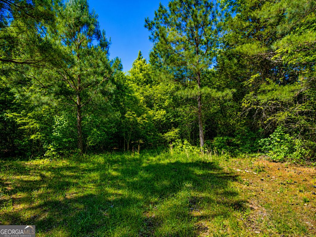 Photo of 5 Stanfield Drive, Lafayette, GA 30728 (MLS # 10771251)