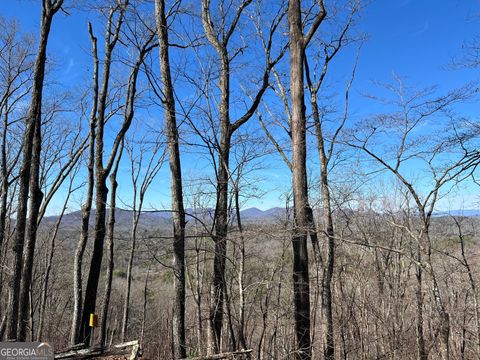 32 Raven Ridge Mineral Bluff GA 30559