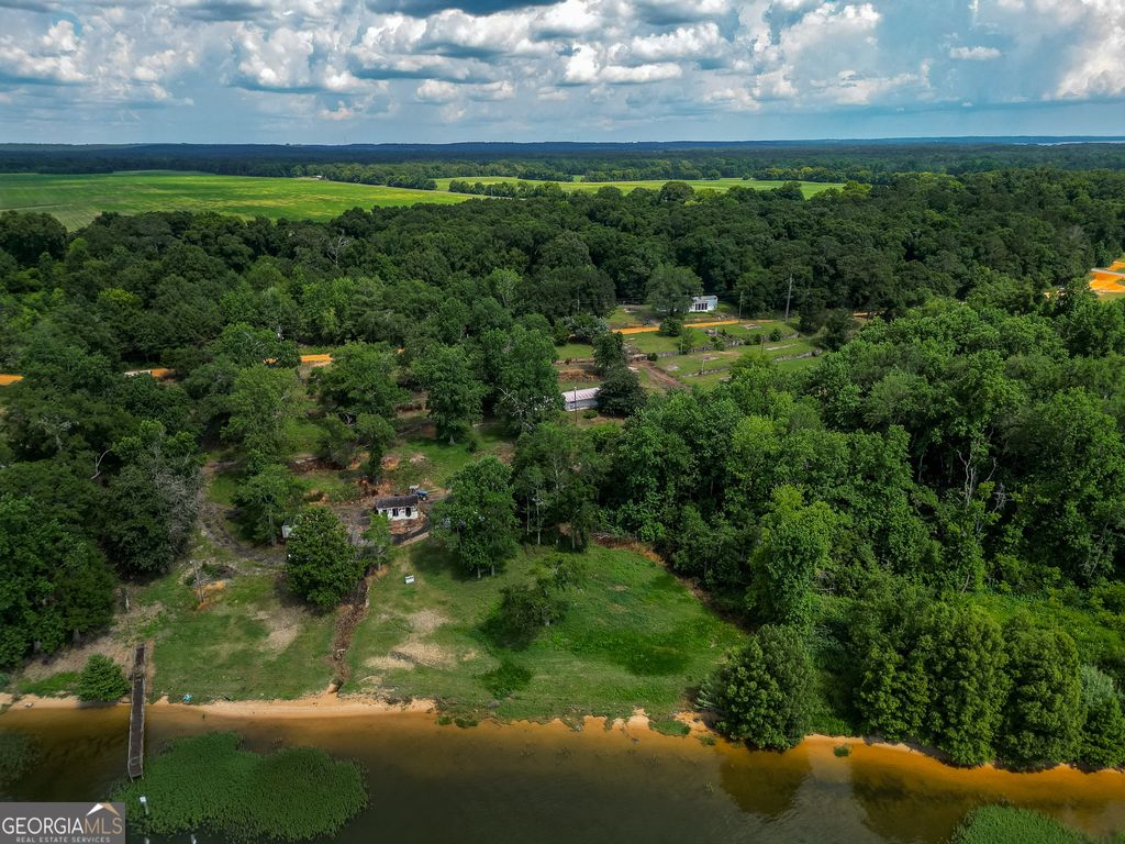 Photo of 17 Pataula Heights Lane, Fort Gaines, GA 39851 (MLS # 10658893)