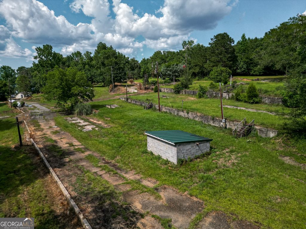 Photo of 17 Pataula Heights Lane, Fort Gaines, GA 39851 (MLS # 10658893)