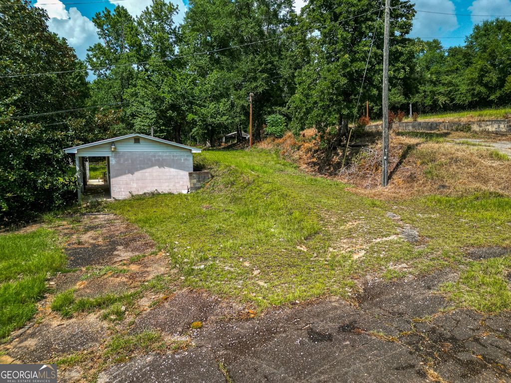 Photo of 17 Pataula Heights Lane, Fort Gaines, GA 39851 (MLS # 10658893)