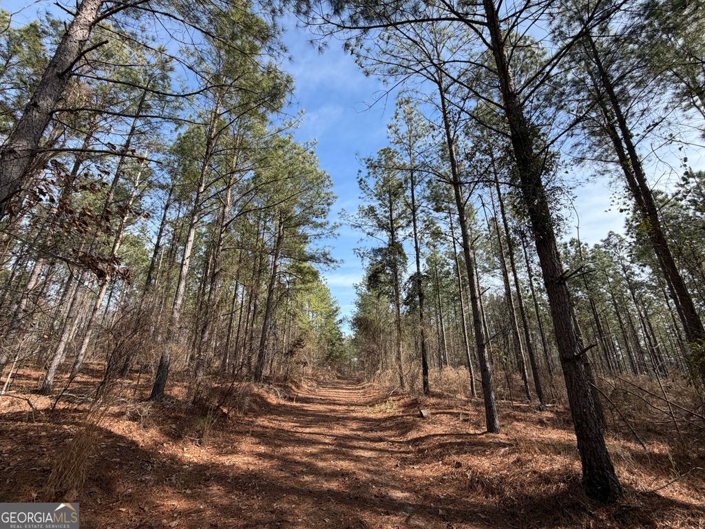 Photo of 250 Linton Rd, Milledgeville, GA 31061 (MLS # 10726111)