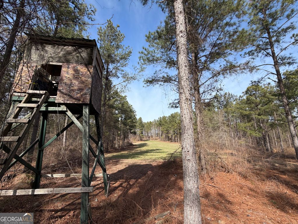 Photo of 250 Linton Rd, Milledgeville, GA 31061 (MLS # 10726111)