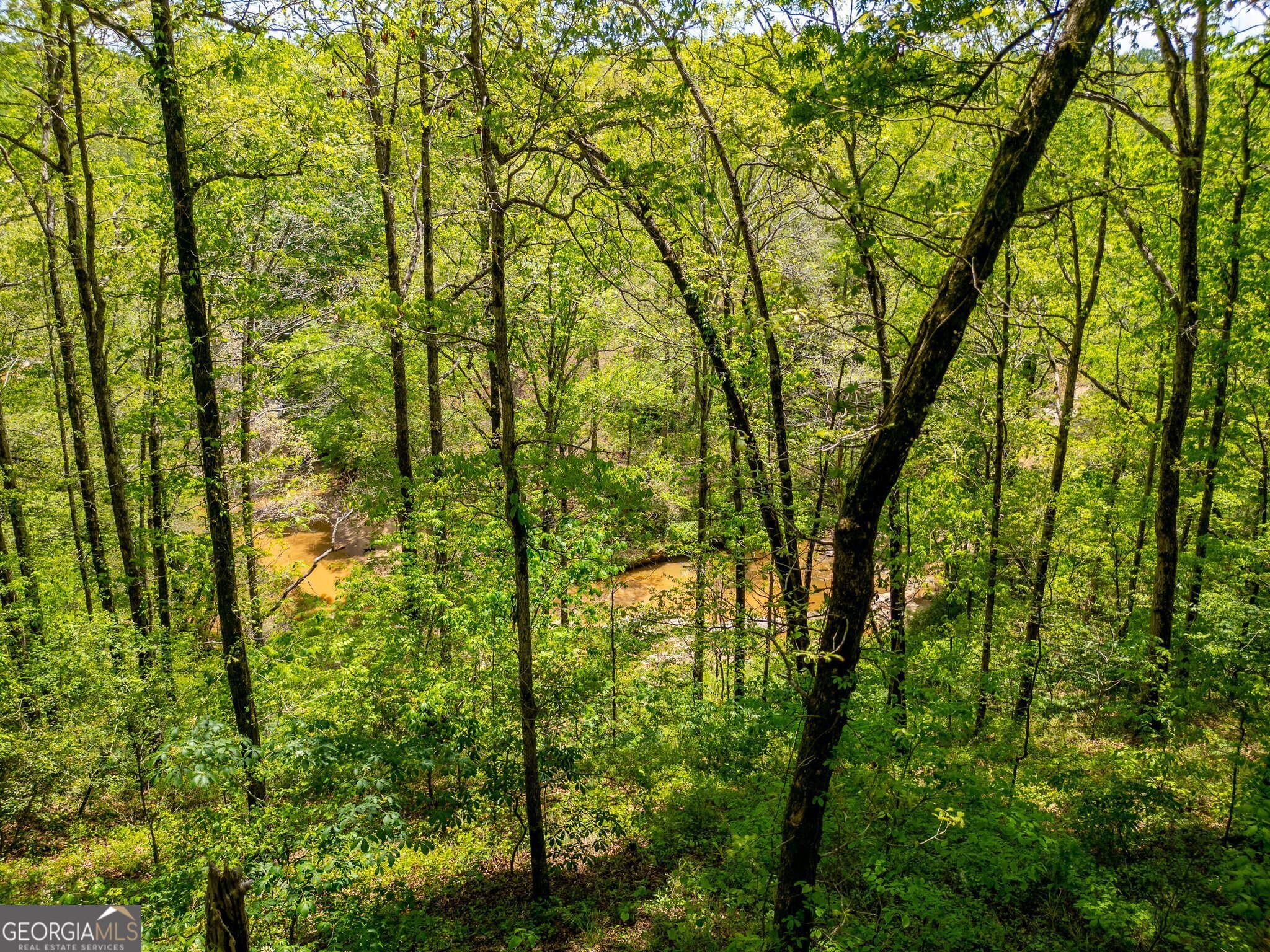 Cornelia, Georgia 30531, United States, ,Land,Active,112970