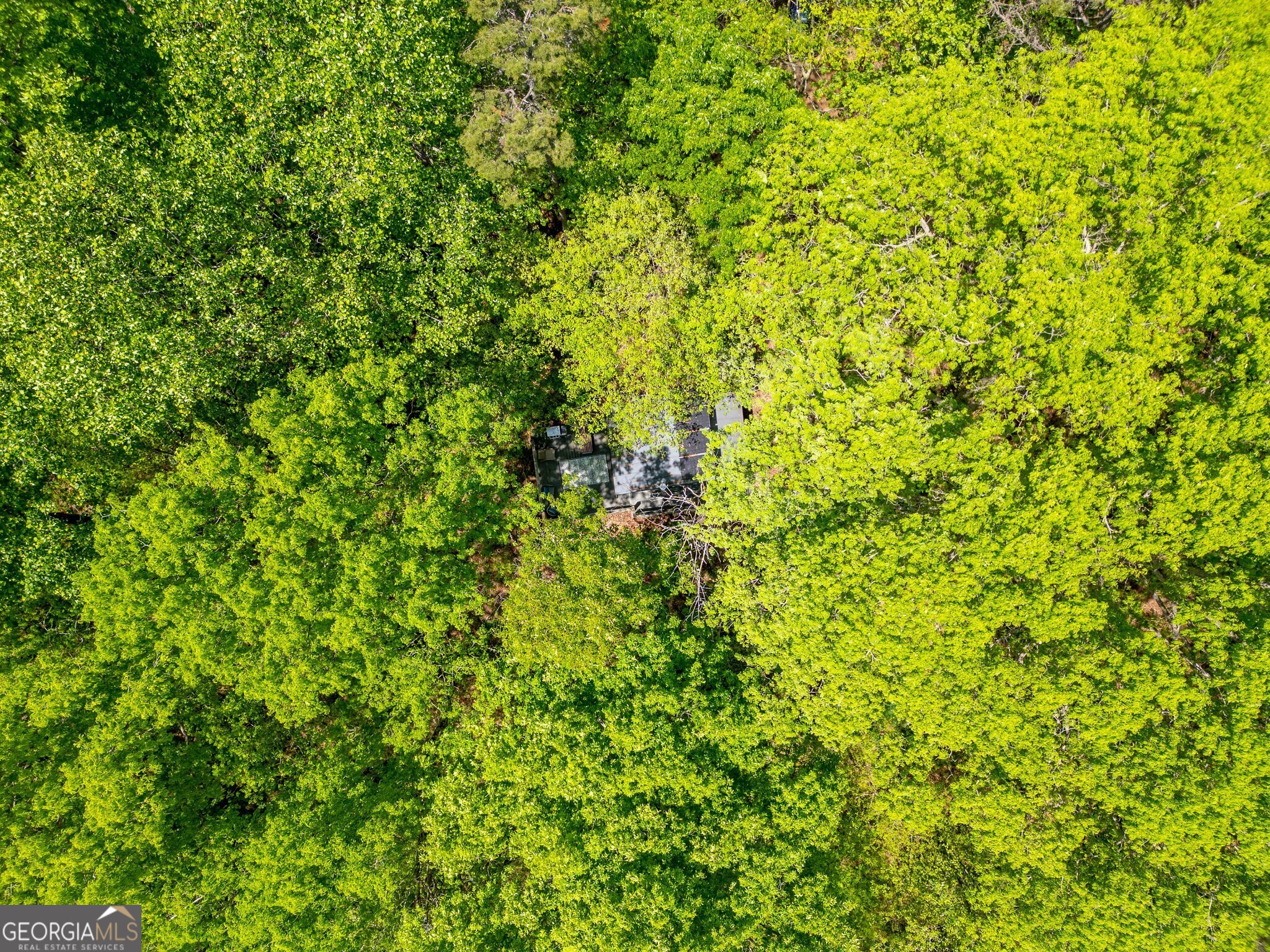 Cornelia, Georgia 30531, United States, ,Land,Active,112970