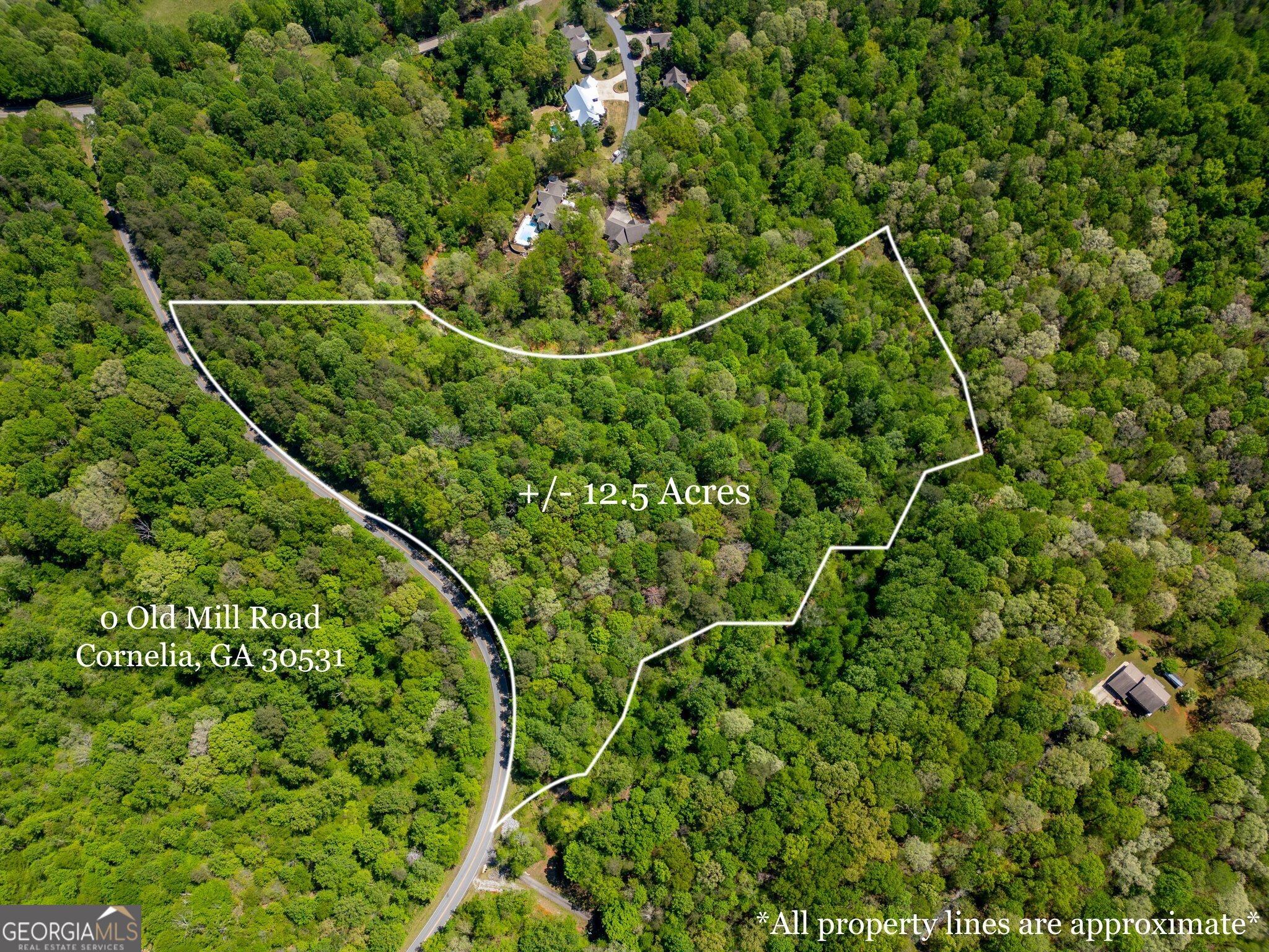 Cornelia, Georgia 30531, United States, ,Land,Active,112970