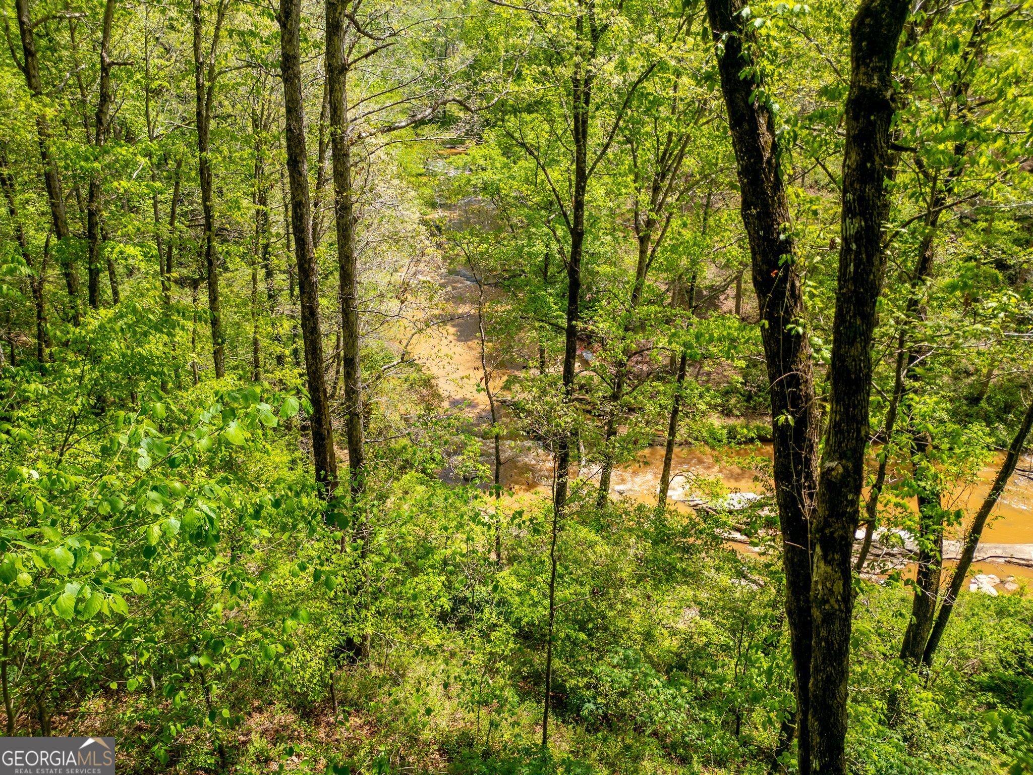 Cornelia, Georgia 30531, United States, ,Land,Active,112970