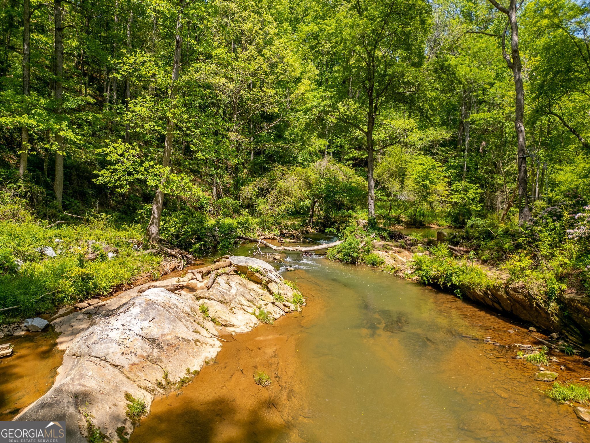 Cornelia, Georgia 30531, United States, ,Land,Active,112970