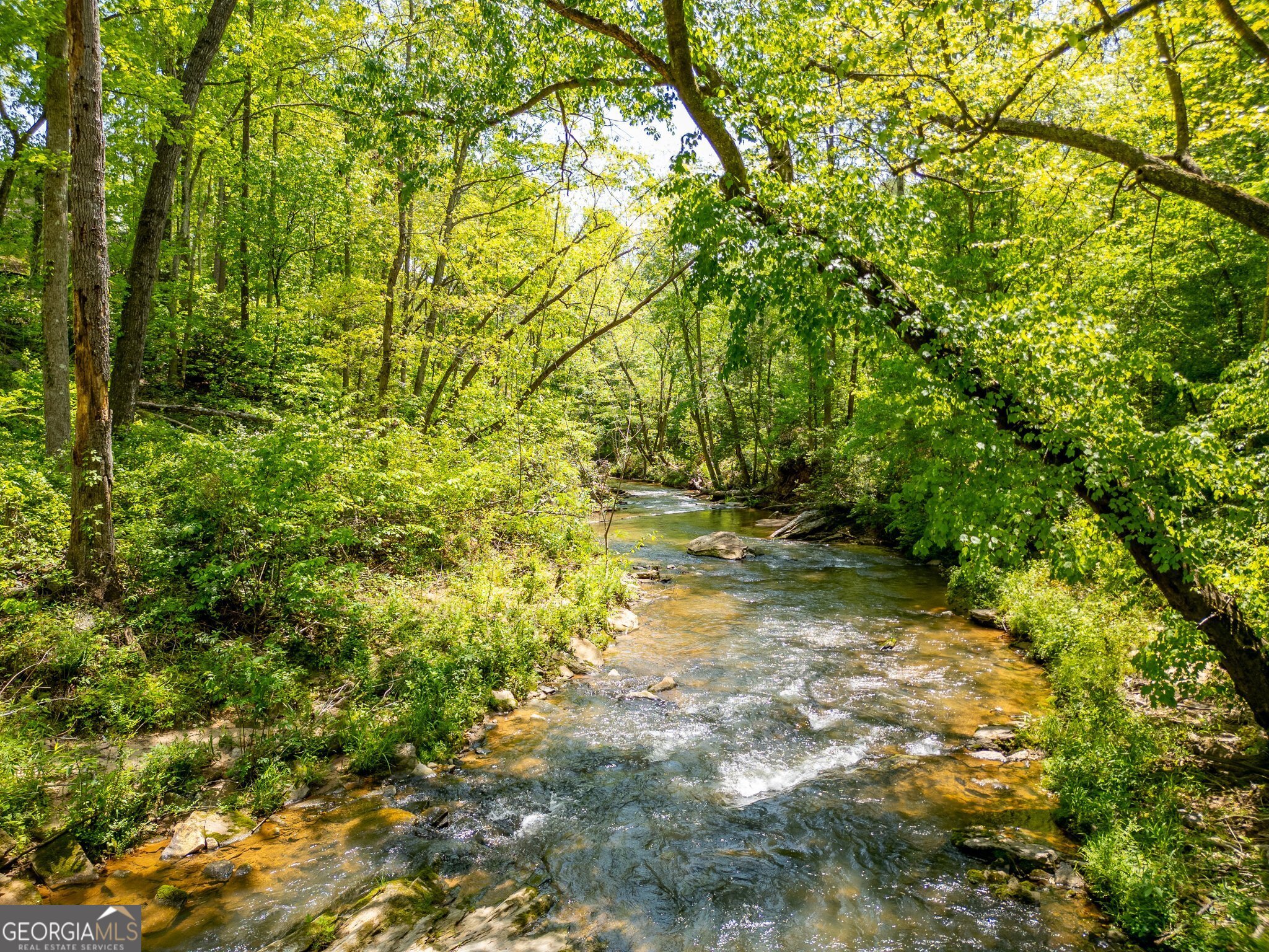 Cornelia, Georgia 30531, United States, ,Land,Active,112970