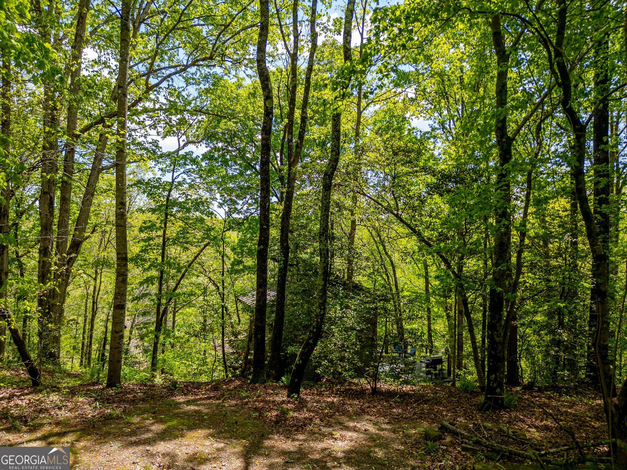 Cornelia, Georgia 30531, United States, ,Land,Active,112970