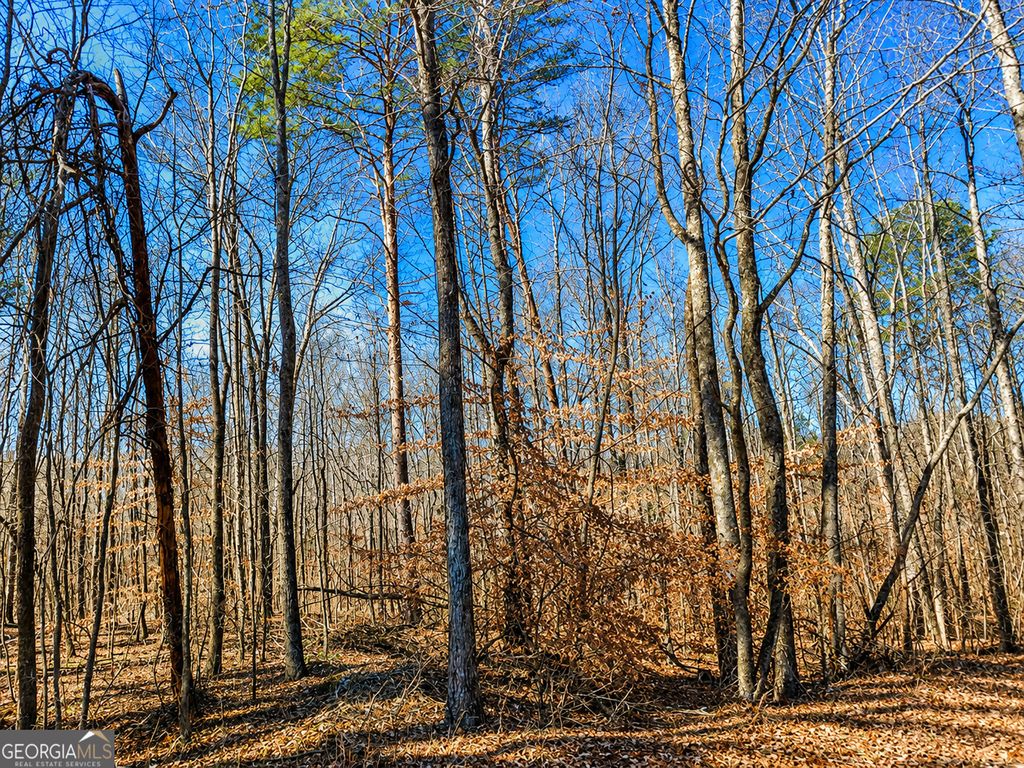 Photo of 2 Pettit Road, Jasper, GA 30143 (MLS # 10794768)