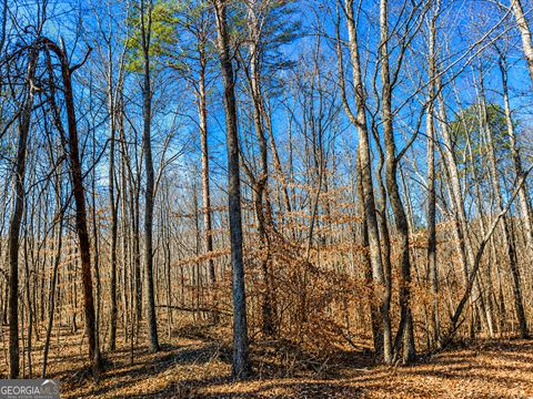 Photo of 2 Pettit Road, Jasper, GA 30143 (MLS # 10794768)