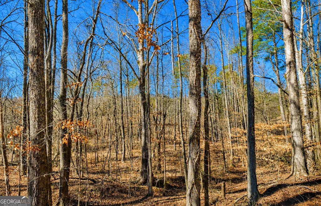 Photo of 2 Pettit Road, Jasper, GA 30143 (MLS # 10794768)