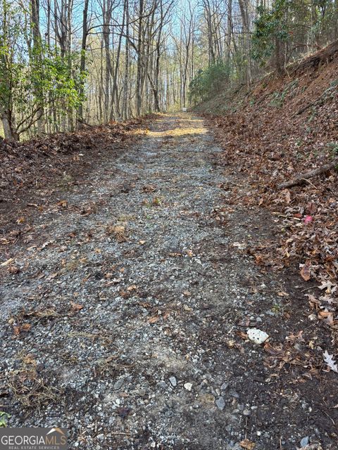 0 Amaryllis LN Tiger GA 30576