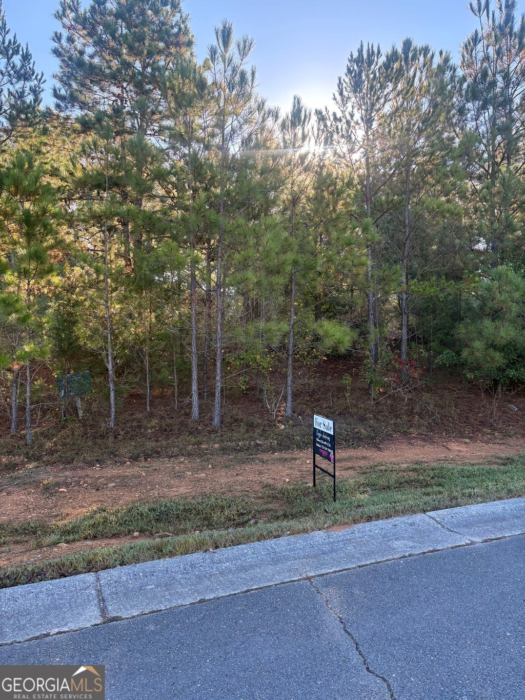 Photo of 0 Joy Drive #56, Cedartown, GA 30125 (MLS # 10872489)