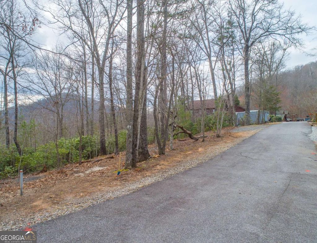 Photo of 33 Laurel Brooke S/D, Blairsville, GA 30512 (MLS # 10704228)