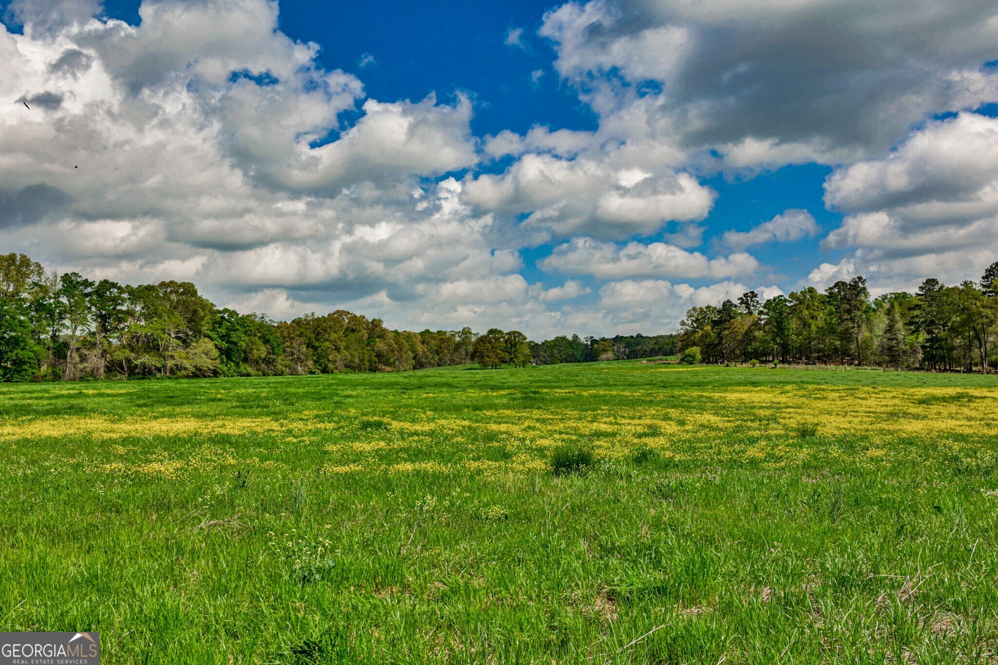 Located just 35 miles from Downtown Atlanta, South River Farm offers an incredible opportunity to own 164.27 acres of prime recreational and agricultural land. With over 4,000 feet of frontage on the South River and 888.24 feet of Hwy 212 frontage, this property features 100 acres of rolling pastureland, mature hardwoods, and gently sloping terrain-ideal for building a country estate or hunting retreat. Enjoy stunning views, a large riverside sandbar, and excellent waterfowl habitat in the river bottom. The land supports abundant wildlife including deer, turkey, hogs, ducks, and doves, and comes equipped with a large pole barn for equipment storage. With no conservation easement or tax covenant restrictions, you'll have freedom to manage and develop the property to suit your vision. Surrounded by quality neighboring landowners, South River Farm delivers both privacy and convenience-a true gem in Newton County.