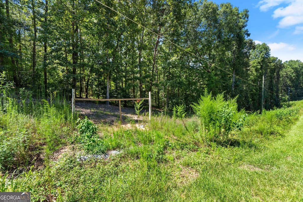 Photo of 0 Holly Springs Road, Toccoa, GA 30577 (MLS # 10833439)