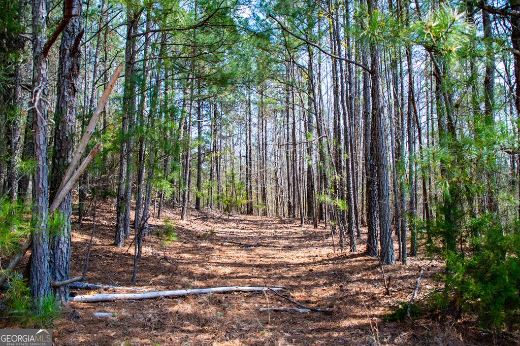 Photo of 3940 Clinton Court, Villa Rica, GA 30180 (MLS # 10270878)